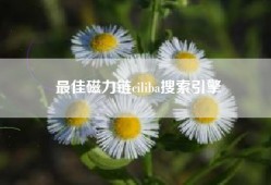 最佳磁力链ciliba搜索引擎
