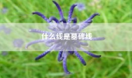 什么线是墓碑线