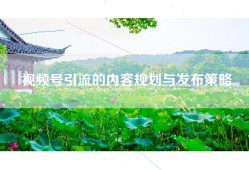 视频号引流的内容规划与发布策略