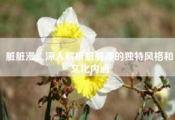 脏脏漫：深入解析脏脏漫的独特风格和文化内涵