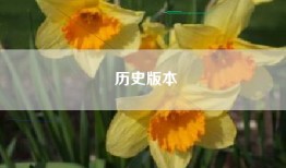 历史版本
