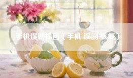 手机误删找回（手机 误删 恢复）