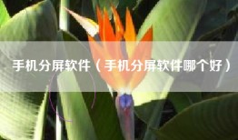 手机分屏软件（手机分屏软件哪个好）