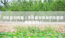手机备份恢复（手机备份恢复的东西哪里能看到）