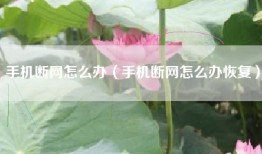 手机断网怎么办（手机断网怎么办恢复）