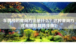车牌号的查询方法是什么？这种查询方式有哪些具体步骤？