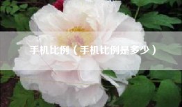 手机比例（手机比例是多少）