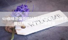 SEO蜘蛛池强引网站怎么收录啊？如何才能让网站被搜索引擎收录