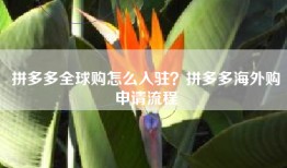 拼多多全球购怎么入驻？拼多多海外购申请流程