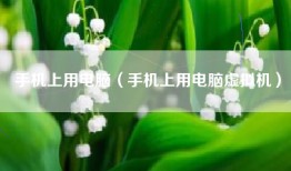 手机上用电脑（手机上用电脑虚拟机）