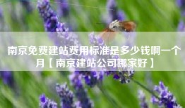 南京免费建站费用标准是多少钱啊一个月【南京建站公司哪家好】