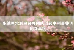 永德县水利局领导团队引领水利事业迈向新高度