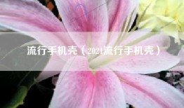 流行手机壳（2021流行手机壳）