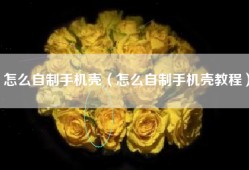 怎么自制手机壳（怎么自制手机壳教程）