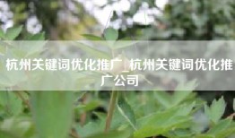 杭州关键词优化推广_杭州关键词优化推广公司