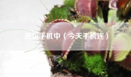 连接手机中（今天手机连）