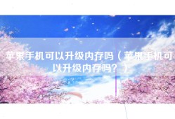 苹果手机可以升级内存吗（苹果手机可以升级内存吗？）