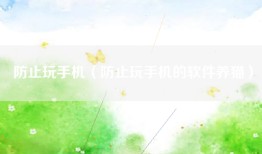 防止玩手机（防止玩手机的软件养猫）
