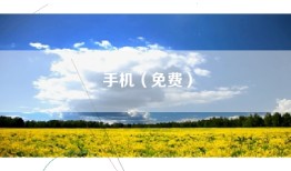 手机（免费）
