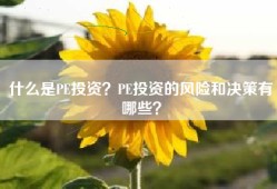 什么是PE投资？PE投资的风险和决策有哪些？