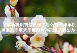 苹果手机没有通讯录了怎么办苹果手机通讯录「苹果手机没有通讯录了怎么办」