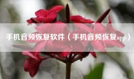 手机音频恢复软件（手机音频恢复app）