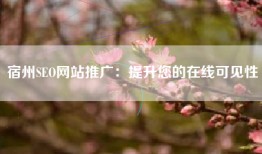 宿州SEO网站推广：提升您的在线可见性