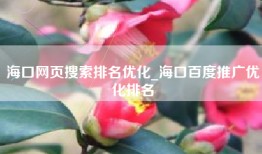 海口网页搜索排名优化_海口百度推广优化排名
