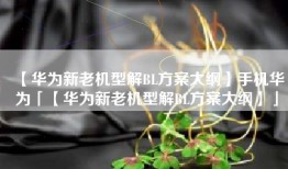 【华为新老机型解BL方案大纲】手机华为「【华为新老机型解BL方案大纲】」