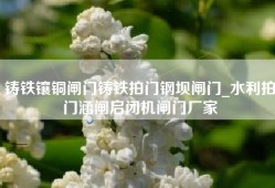 铸铁镶铜闸门铸铁拍门钢坝闸门_水利拍门涵闸启闭机闸门厂家