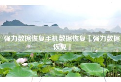 强力数据恢复手机数据恢复「强力数据恢复」