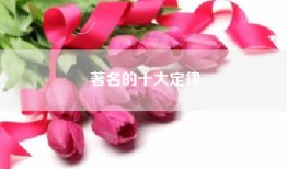 著名的十大定律