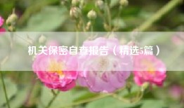 机关保密自查报告（精选5篇）