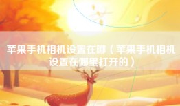 苹果手机相机设置在哪（苹果手机相机设置在哪里打开的）