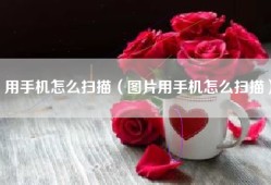 用手机怎么扫描（图片用手机怎么扫描）