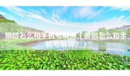 微信怎么和手机号解绑（微信怎么和手机号解绑？）