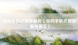 你的手机已暂停服务（你的手机已暂停服务英文）