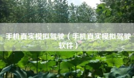 手机真实模拟驾驶（手机真实模拟驾驶软件）