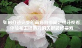 如何打造完美的高端直播间：提升观看体验和主播魅力的关键装修要素