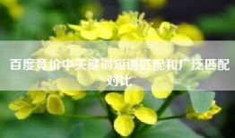 百度竞价中关键词短语匹配和广泛匹配对比