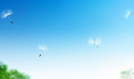 传递权威声音 办好实事惠民