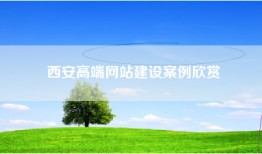 西安高端网站建设案例欣赏
