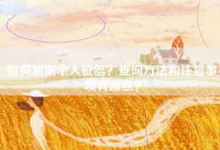 如何查询个人征信？查询方法和注意事项有哪些？
