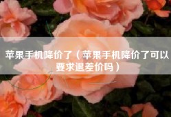 苹果手机降价了（苹果手机降价了可以要求退差价吗）