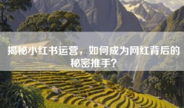 揭秘小红书运营，如何成为网红背后的秘密推手？