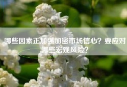 哪些因素正加强加密市场信心？要应对哪些宏观风险？