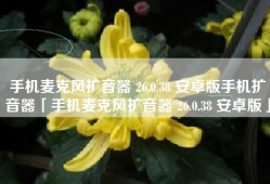 手机麦克风扩音器 26.0.38 安卓版手机扩音器「手机麦克风扩音器 26.0.38 安卓版」