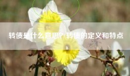 转债是什么意思？转债的定义和特点