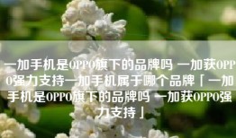 一加手机是OPPO旗下的品牌吗 一加获OPPO强力支持一加手机属于哪个品牌「一加手机是OPPO旗下的品牌吗 一加获OPPO强力支持」