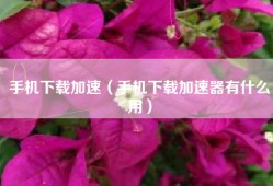 手机下载加速（手机下载加速器有什么用）